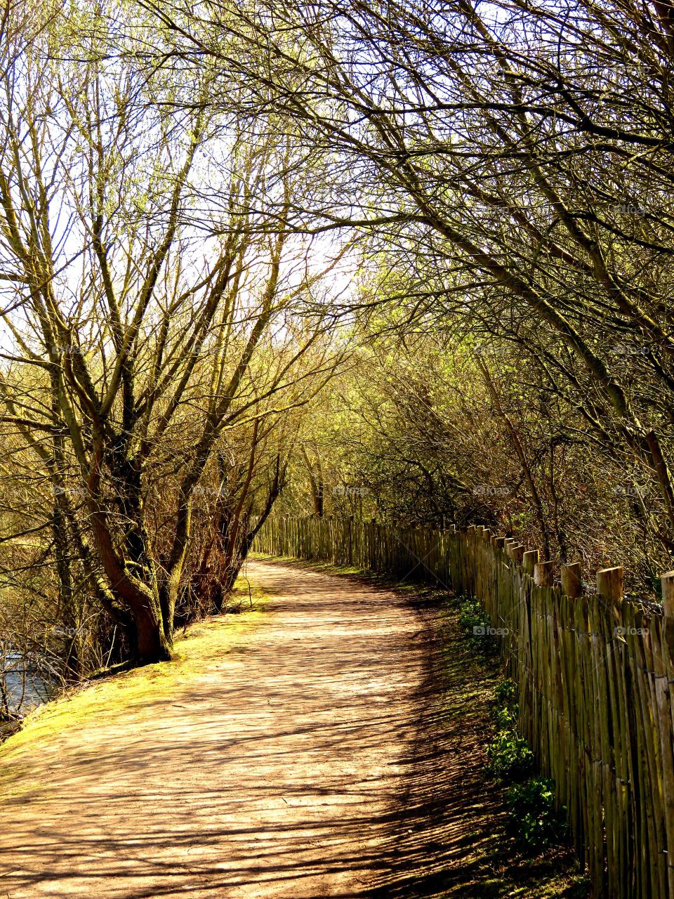 beautiful path