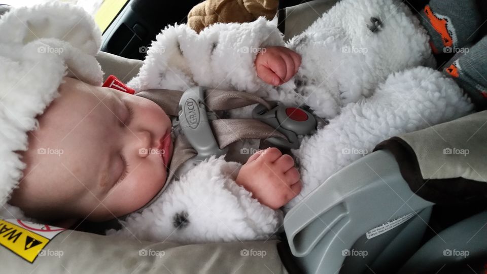 Baby Boy Asleep in a Puppy Outfit in a Carseat