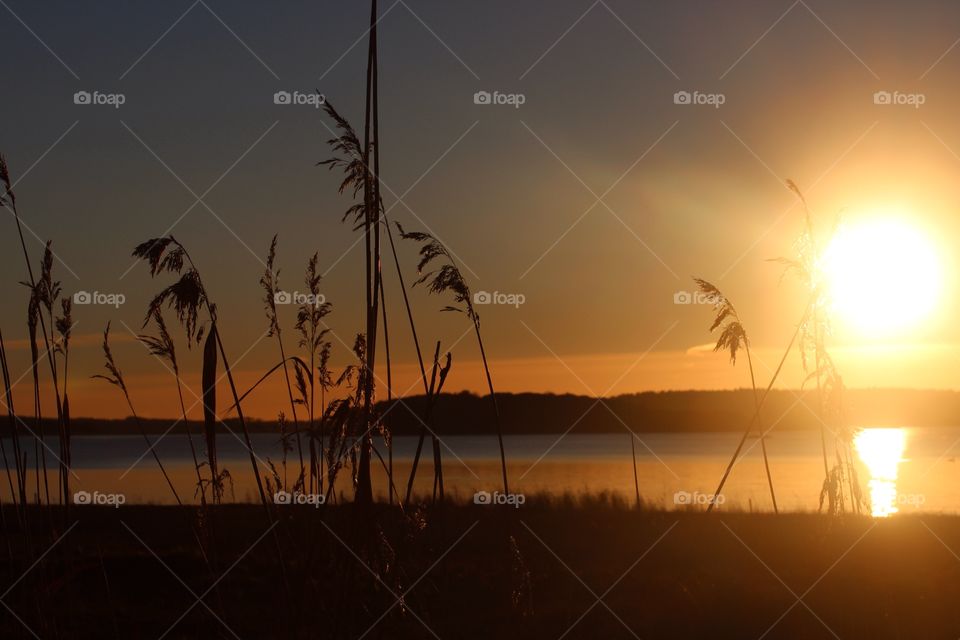 Winter sunset by the sea