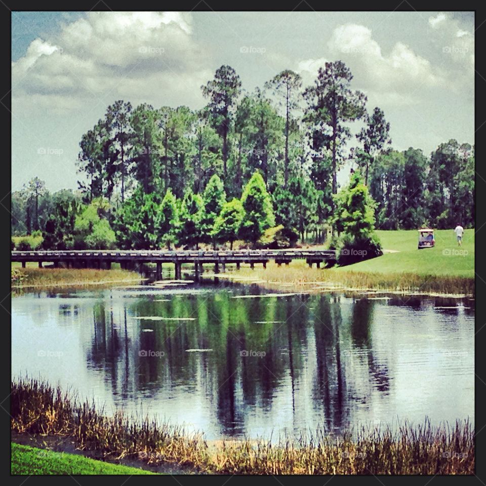 Florida Golf Course 