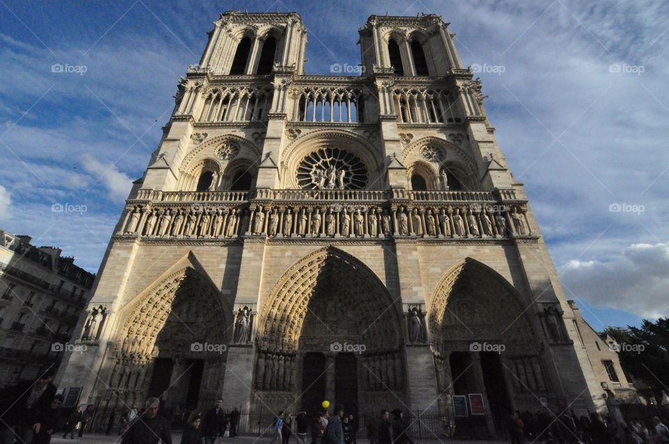 Cathedral of Notre Dame 