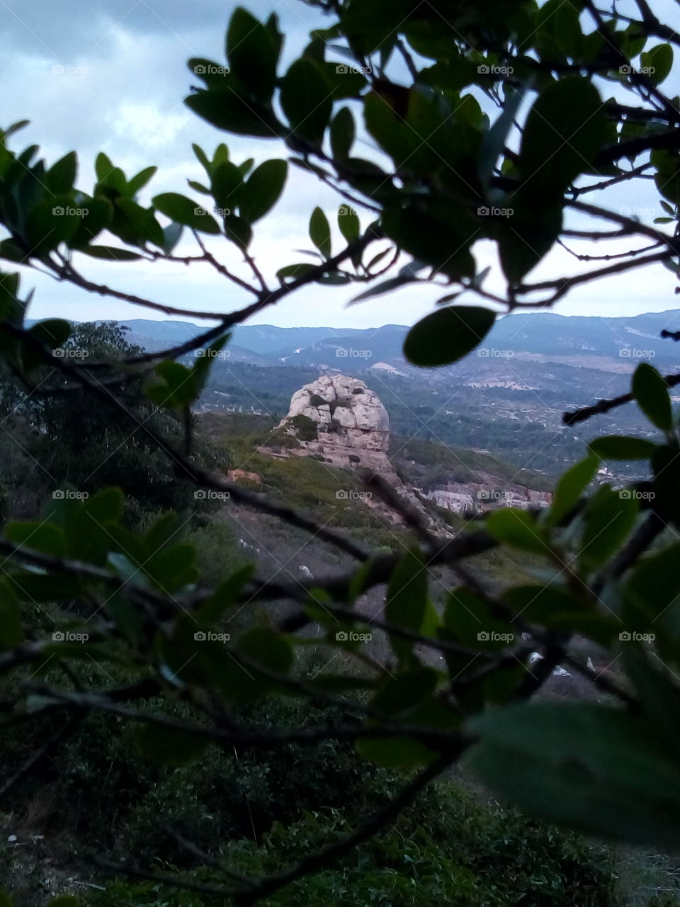 Nature , La Ciotat , Provence