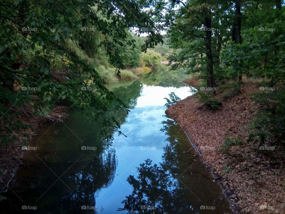 A small river surrounded by a lush forest. The light reflects perfectly into the water and brings out a stunning shot of nature, exposing the sky in it's reflection.