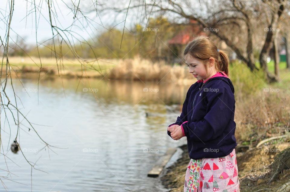 Feeding the ducks at the pond 