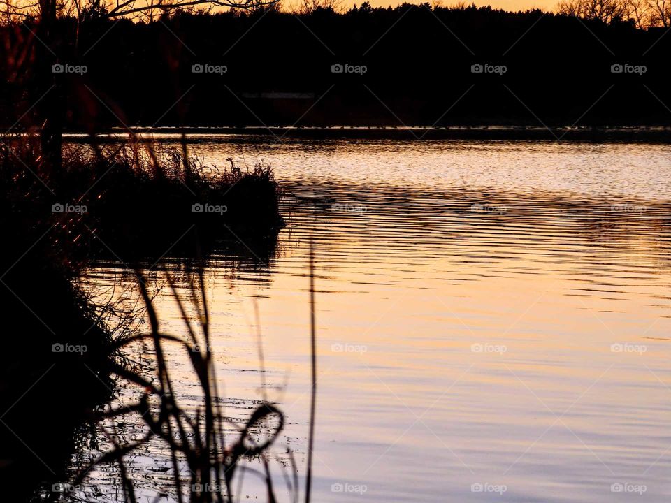 Colorful water front sunset. "Reeds Be Still".