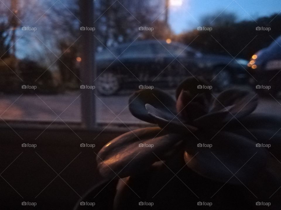 Even though it's in the dark, it's still clear.