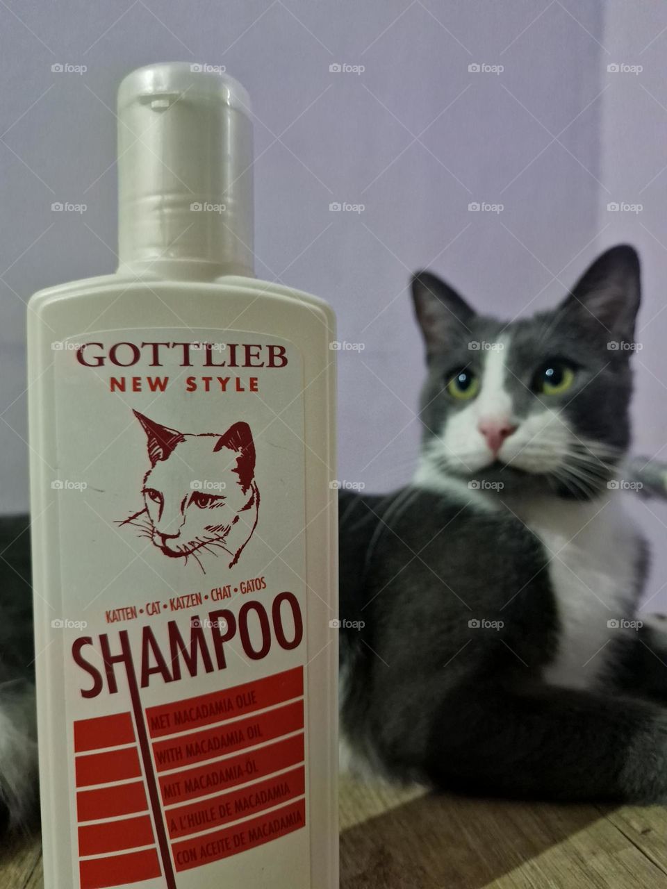 Gottlieb, Felix's favorite shampoo, it makes their fur shine