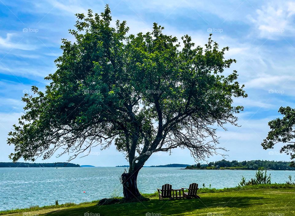 “Simplicity.”  A tree provides shade over a pair of chairs at the end of a point.