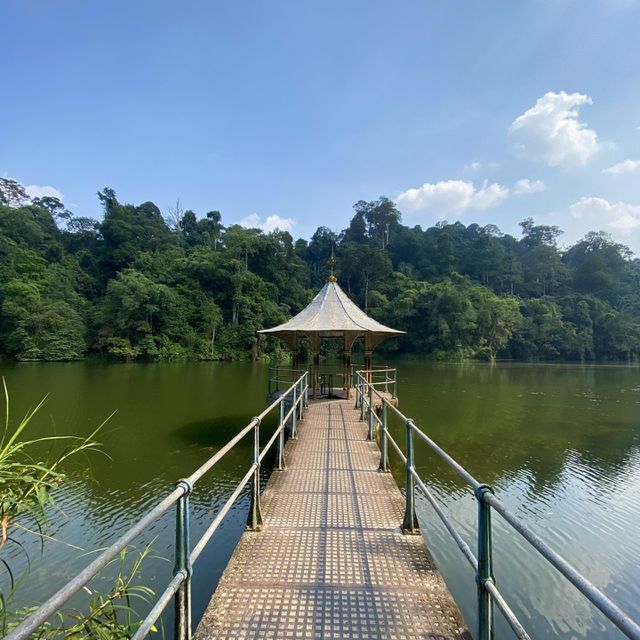 Green lake from Kembara hill Kuala Lumpur. Malaysia