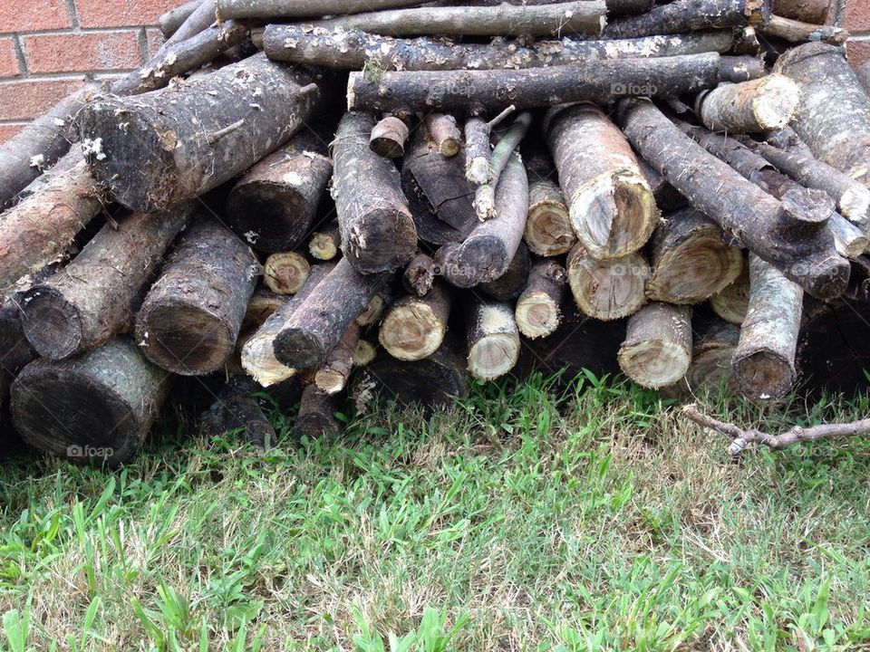 Firewood 
