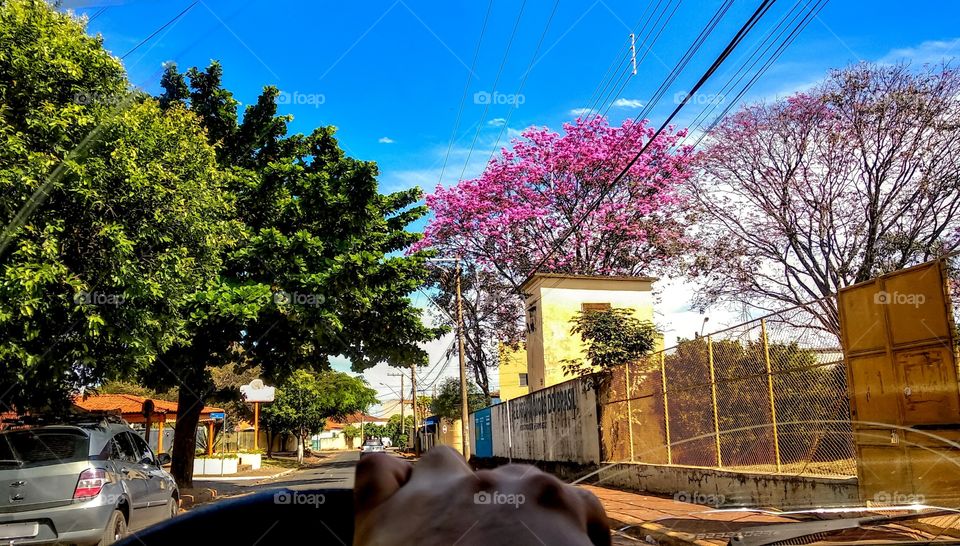 Driving and photographing