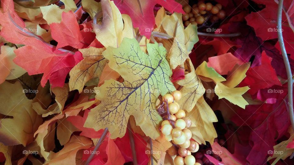 Autumn decor