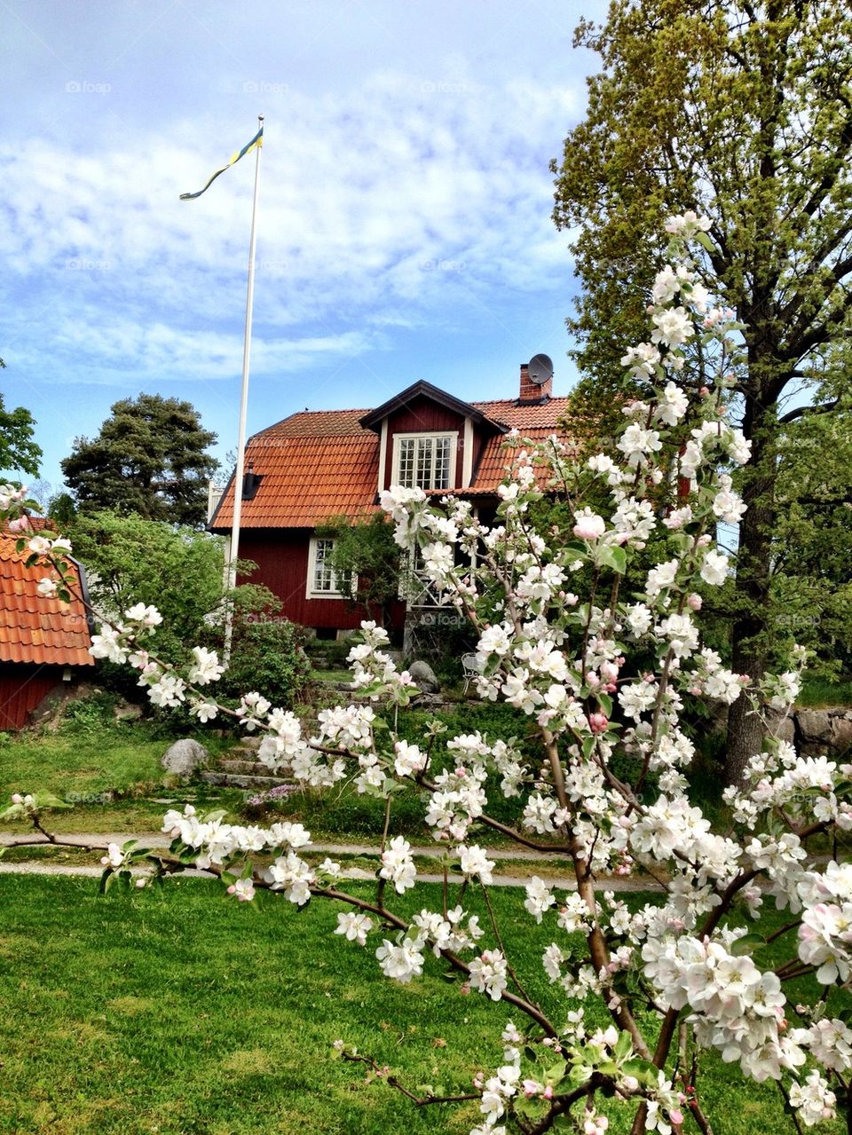 sweden sommar summer house by rikki