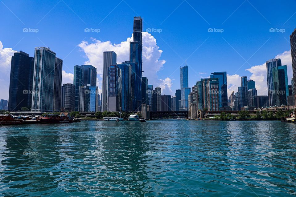 Chicago Skyline in summer 