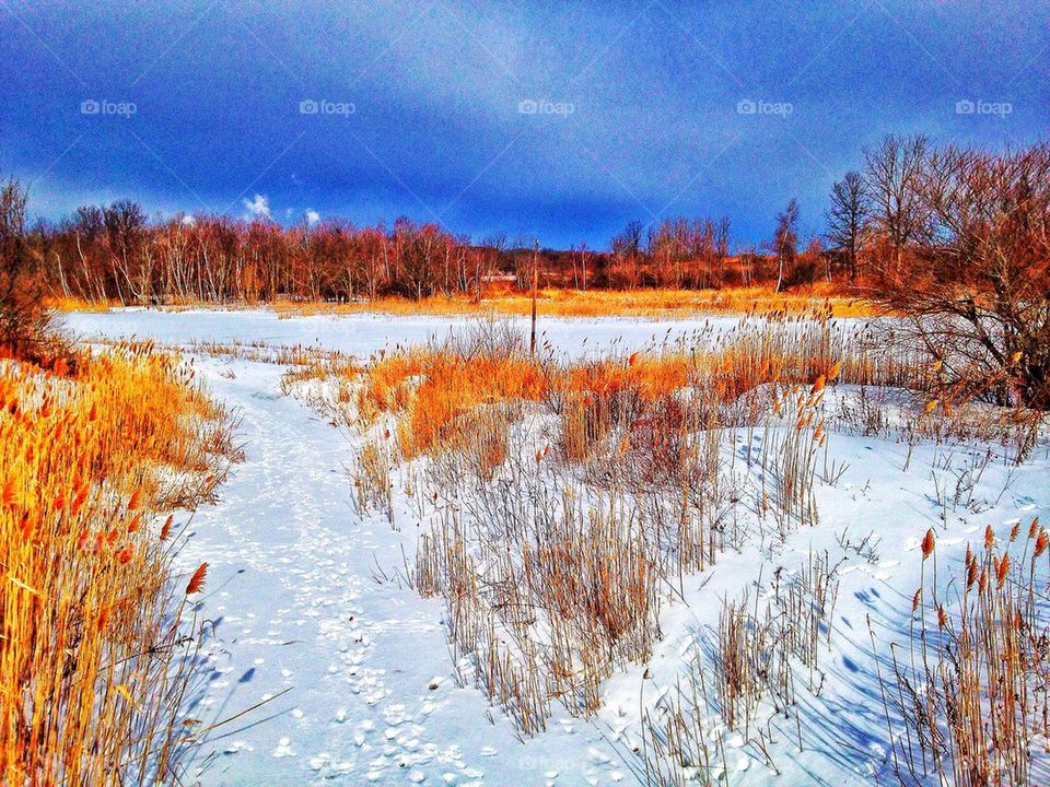 Walnut Beach, Milford CT