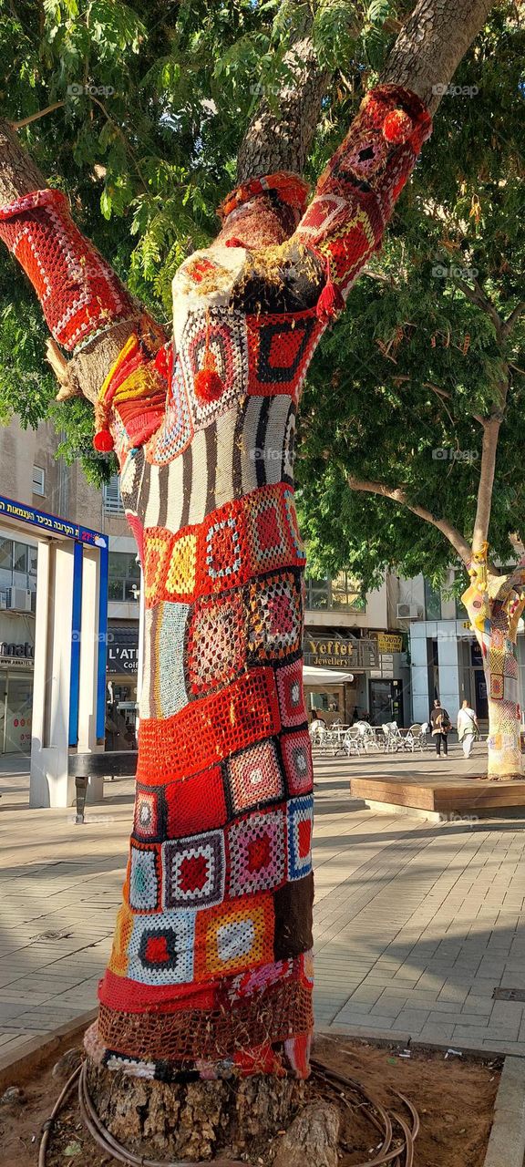 A  tree with a nice colored sweater