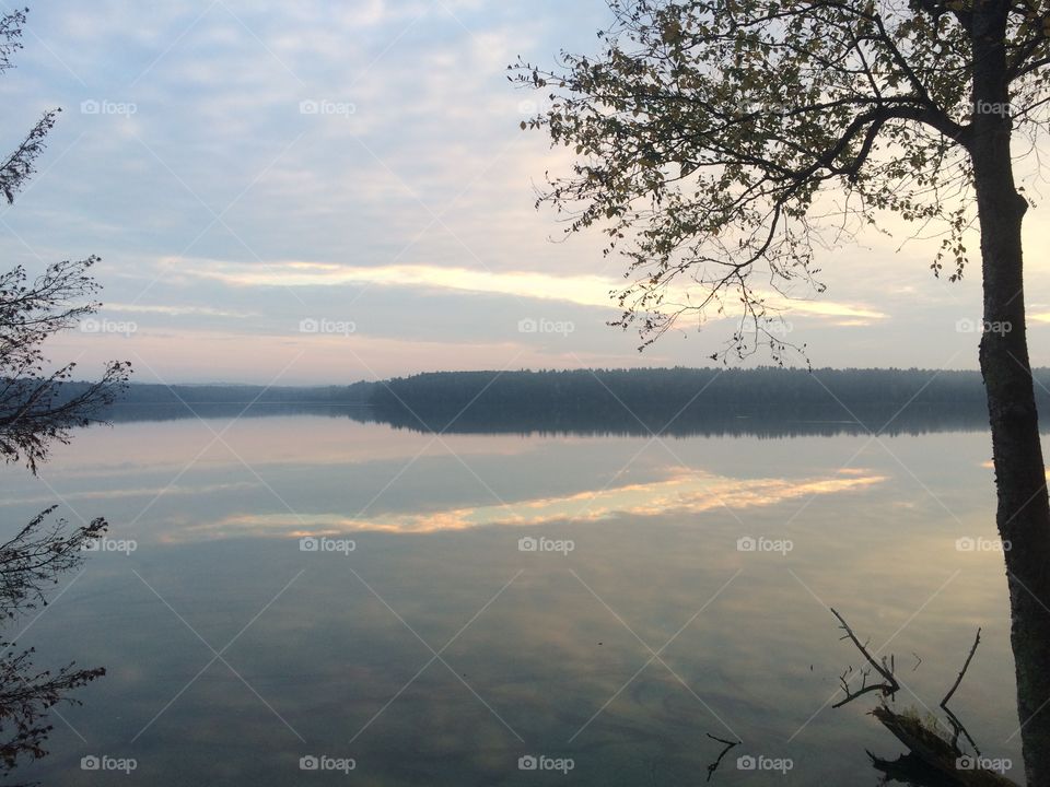 Tree, Landscape, Dawn, Winter, Sky