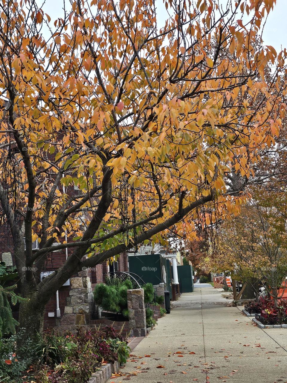 Autumn vibes with orange tones.