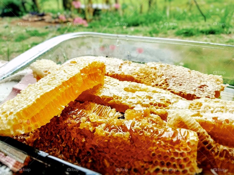delicious and beautiful honey