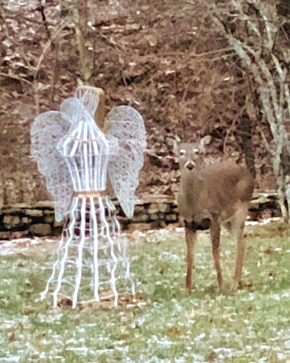 Deer alongside wire angel