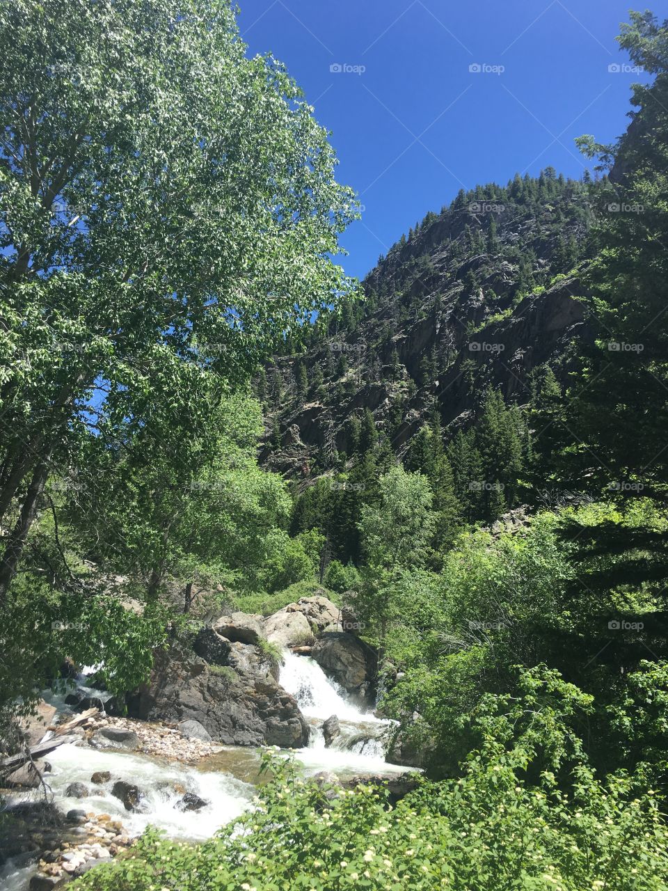 Grizzly creek canyon