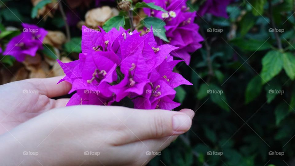 Flowers#hands#colors