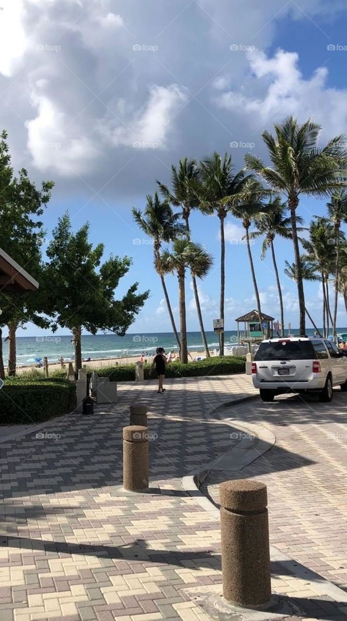 white clouds, blue sky and beautiful trees and palms