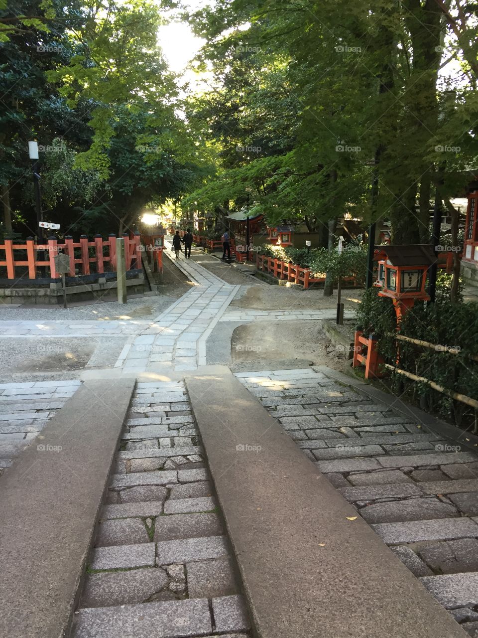 A pathway in a Japanese temple