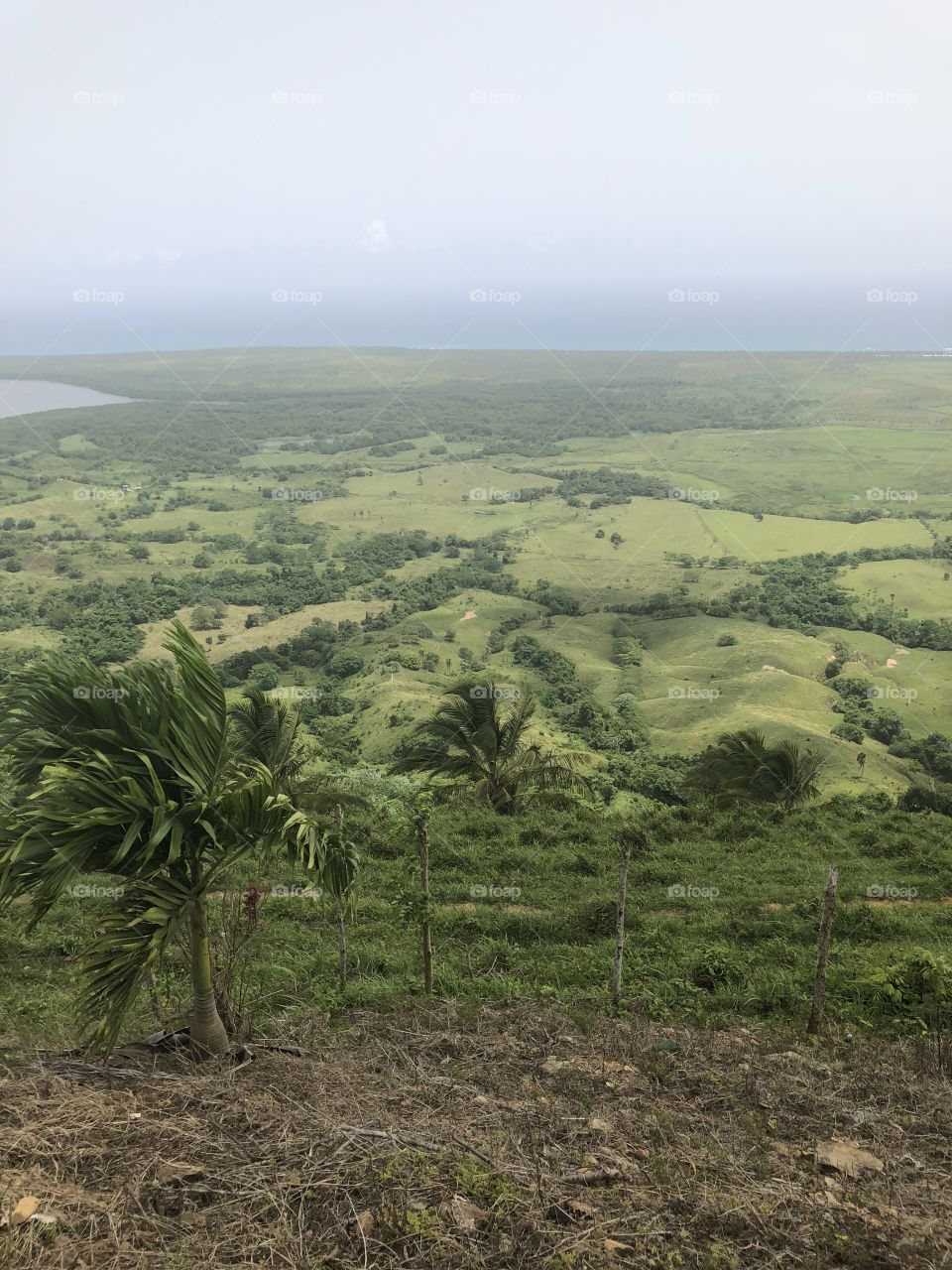 The view on top of a mountain in the Dominican Republic 