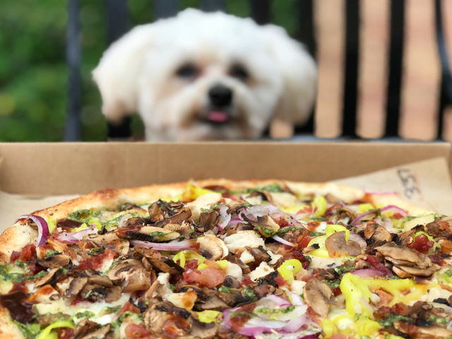 Fischer and pizza 