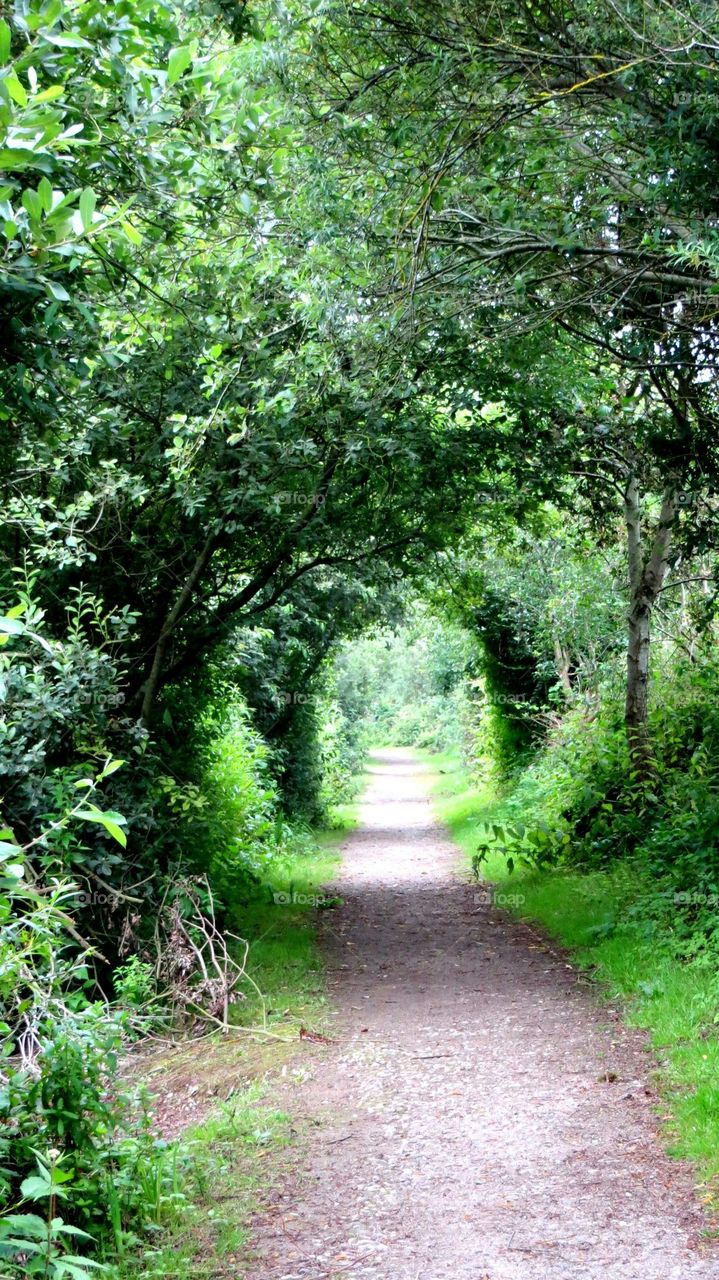 green path