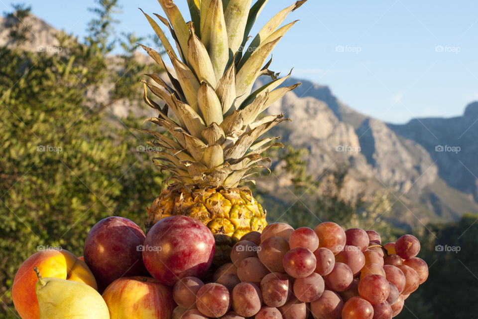 Still life in the mountain