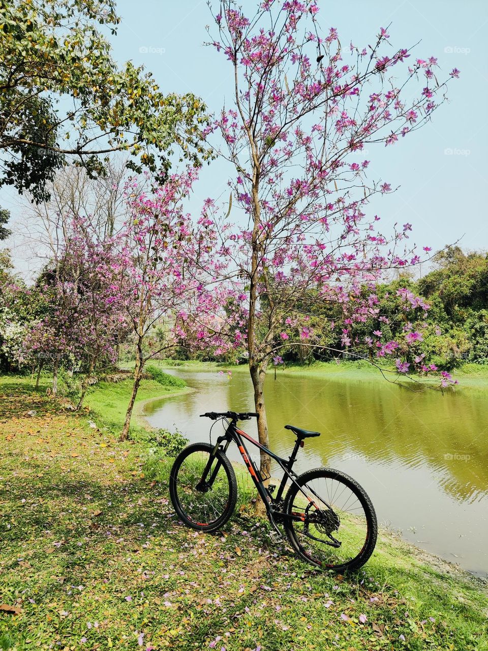 Bicycle | Alone| Sad