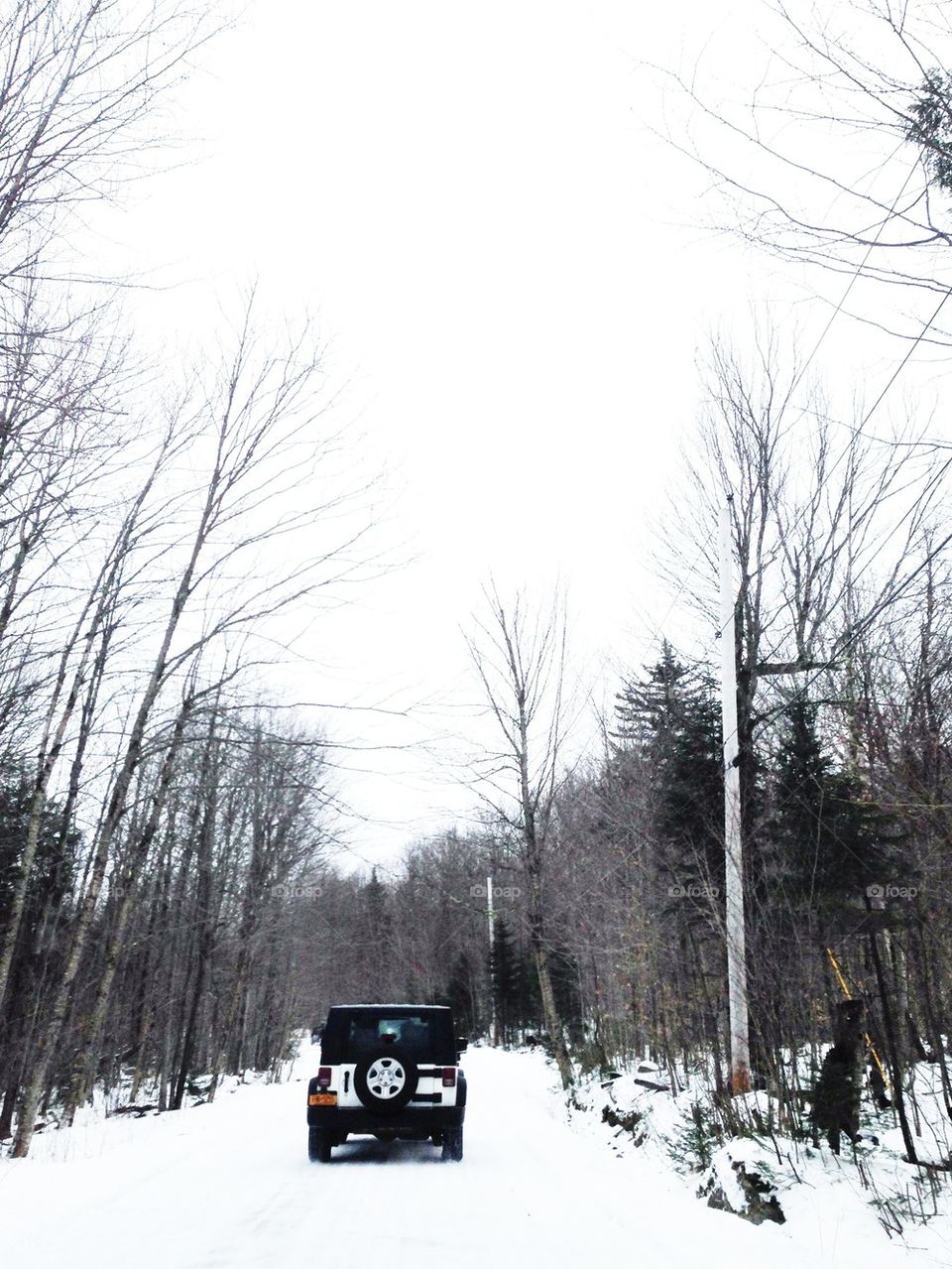 Snowy Drive