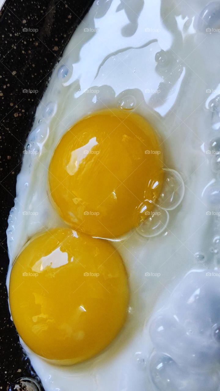 egg with two yellow yolks