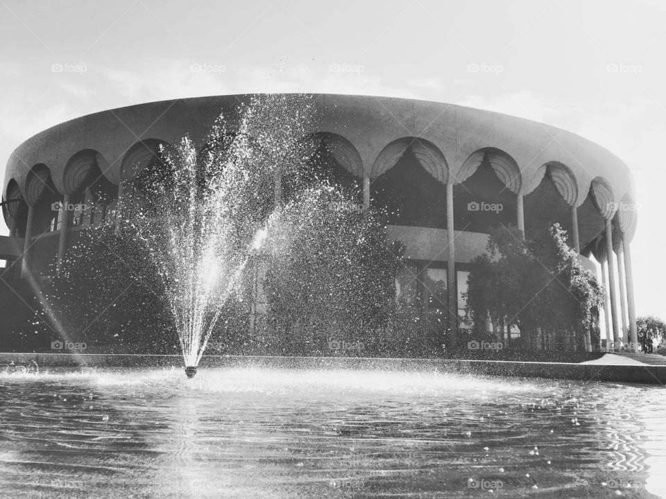 Gammage in Black & White