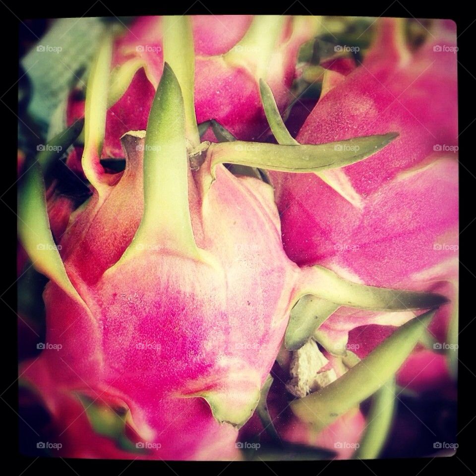 Dragon fruit