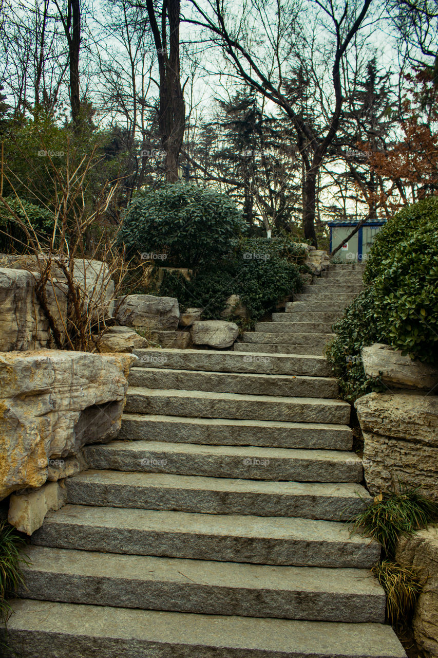 The stairs