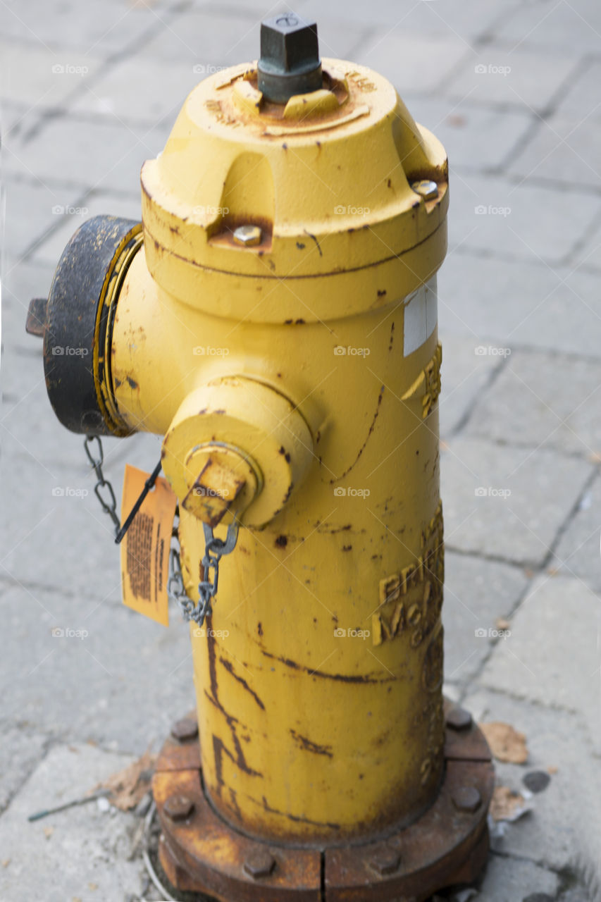 Yellow fire hydrant