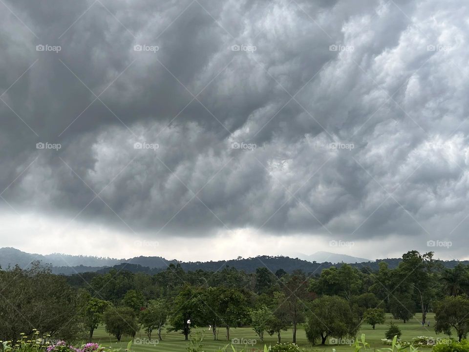 Rain clouds 