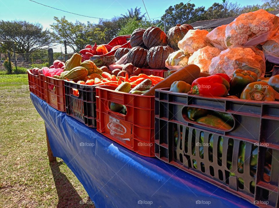 Organic agricultural products at the city's fair
