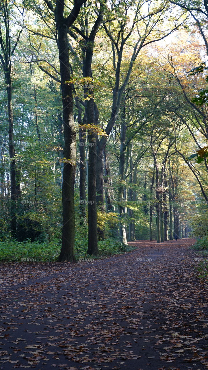 In a park in Antwerp