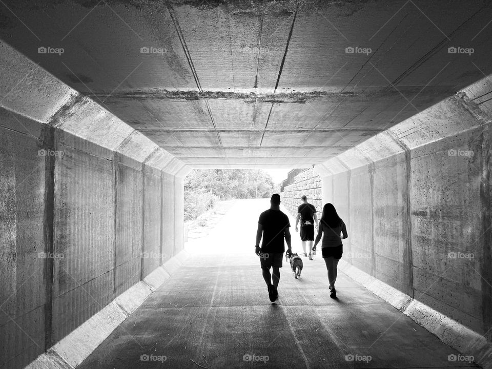 A group of three people walk a dog through a concrete tunnel on a hot, sunny day