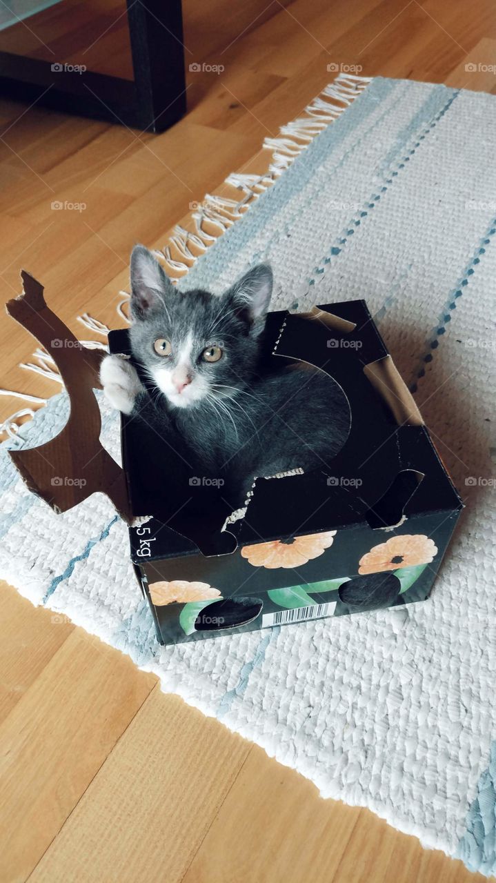 All boxes are filled