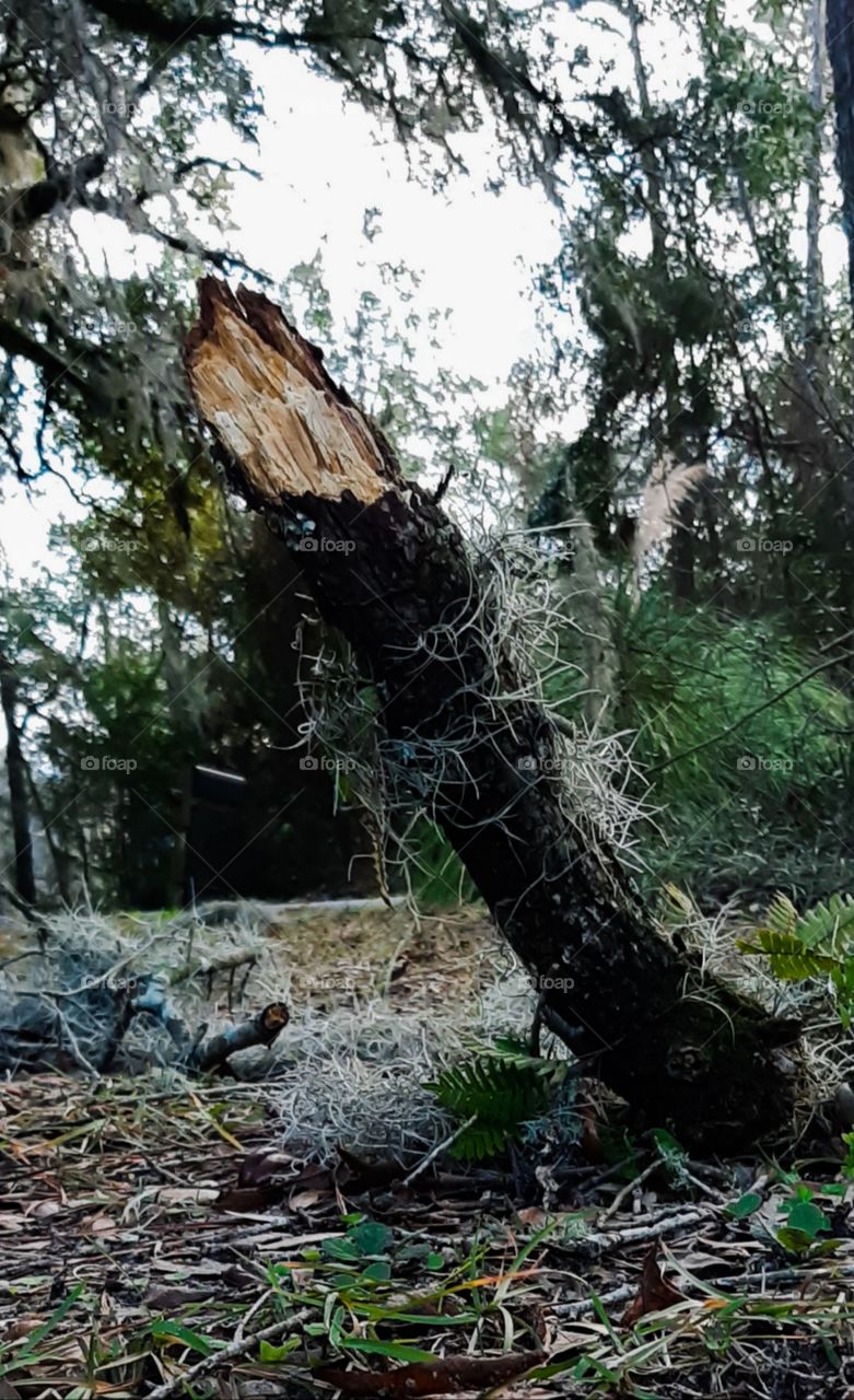 what the wind did😱