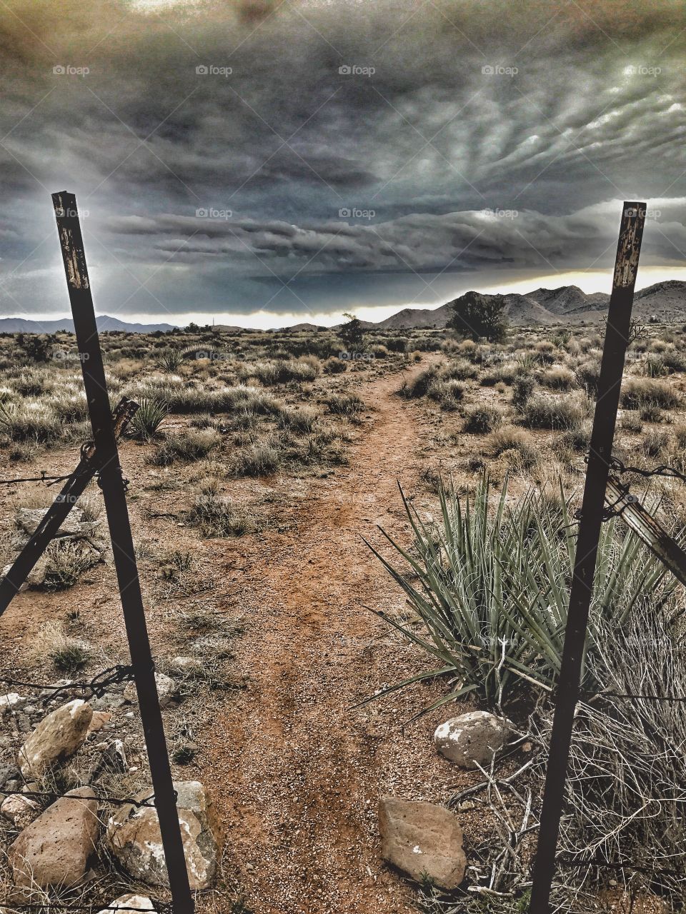 Explore the Outdoors