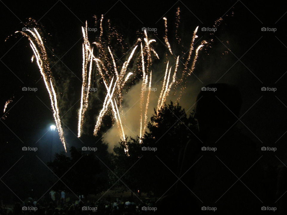 July 4 fireworks look like well-lit flowers in the night.