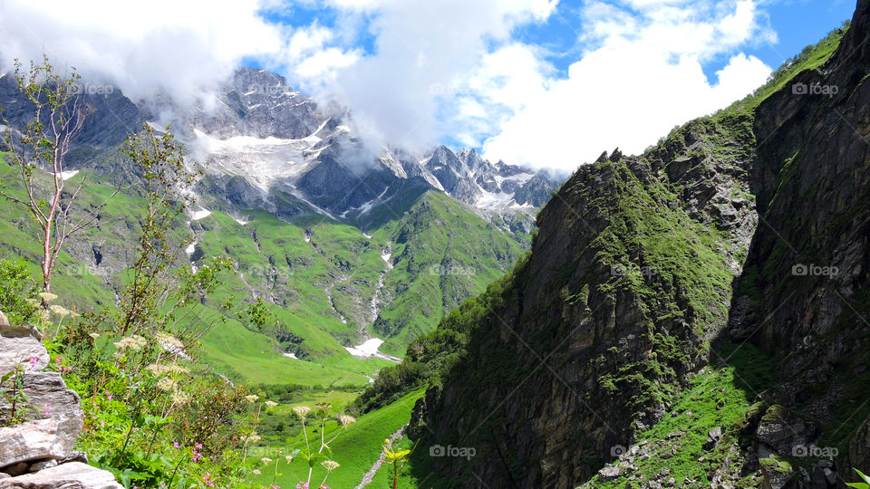 Valley of Flowers