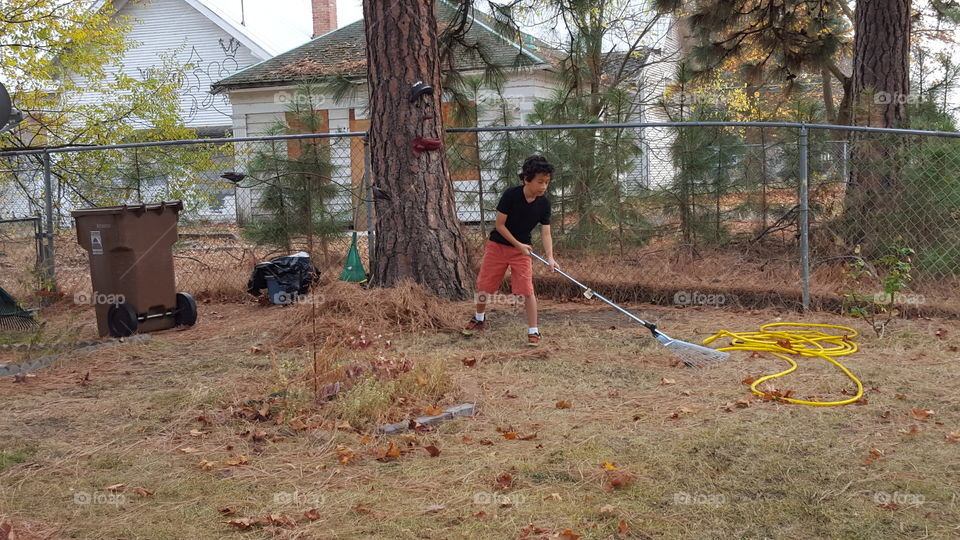 leaf raking