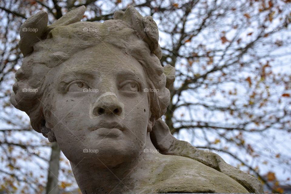Old Sculpture of a head